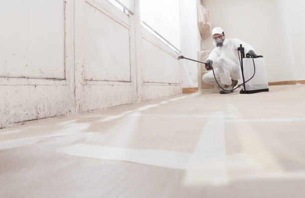24/7 Emergency Attic Mold Remediation experts in Arlington, TN